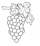 Розмальовка Виноград